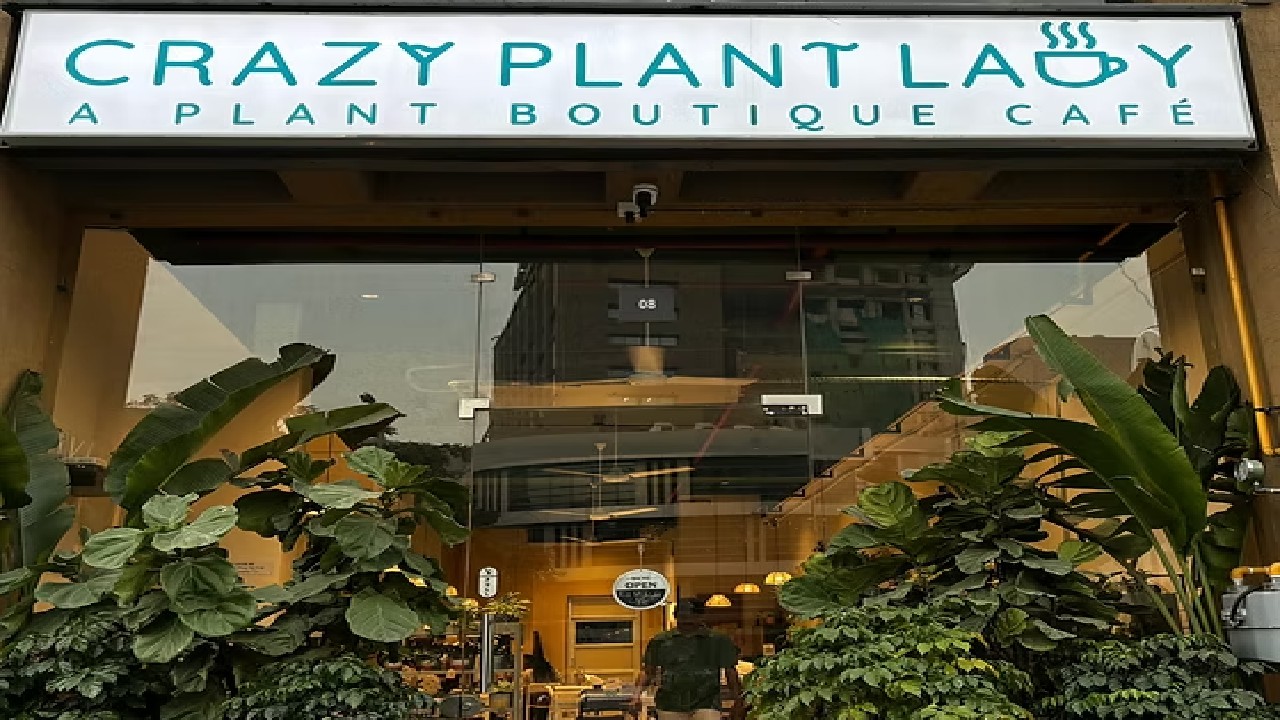 Crazy Plant Lady-A Plant Boutique Cafe