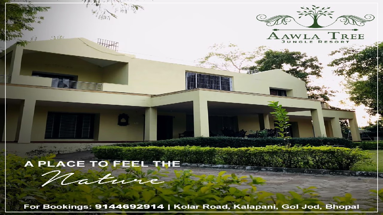 Amla Tree Jungle Resort