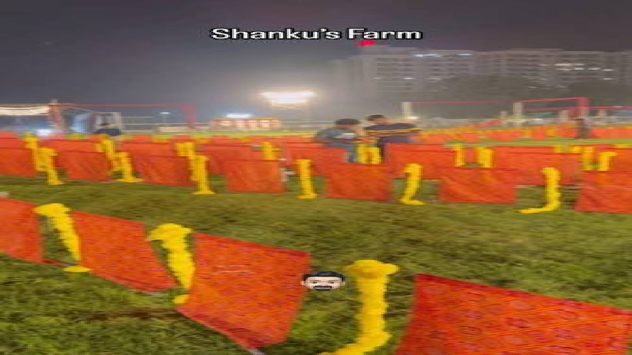 Shankus Farm,